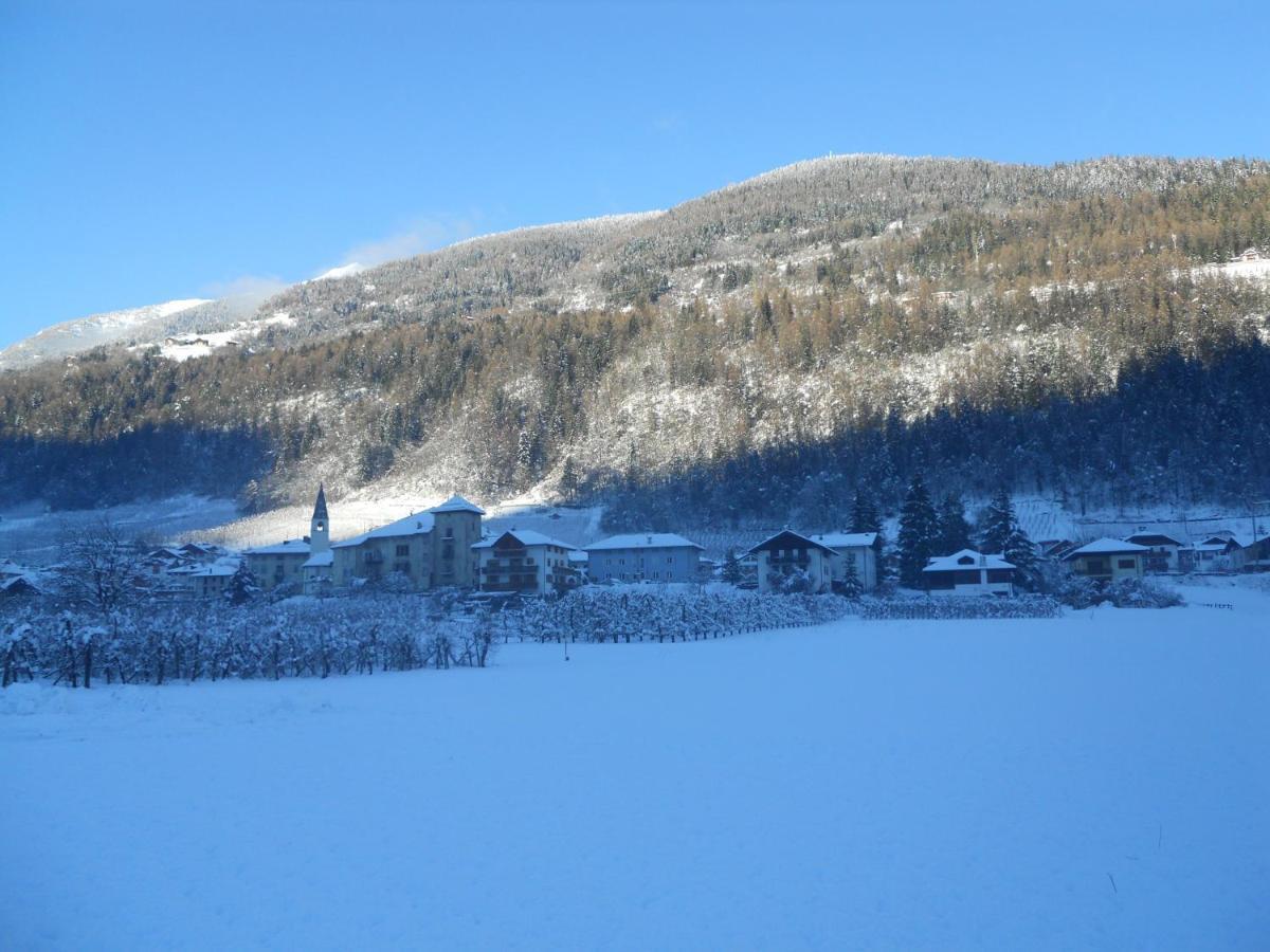 Angeli Dolomiti House Leilighet Croviana Eksteriør bilde